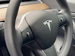  TESLA MODEL 3 Standard Plus 4dr Auto 2021 38